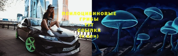 стаф Надым