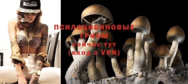 прущая мука Арсеньев